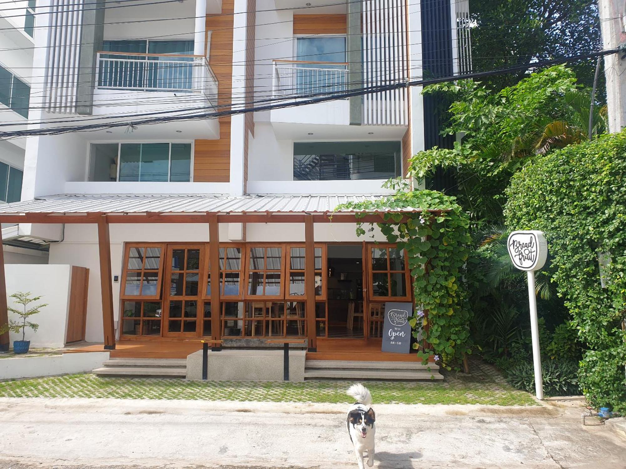 Albergue Breadfruit Chiang Mai Exterior foto